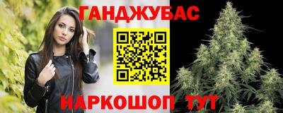гидра Кингисепп