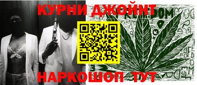 гидра Кингисепп