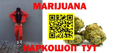 гидра Кингисепп
