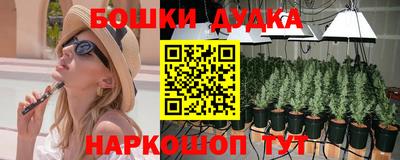 гидра Кингисепп