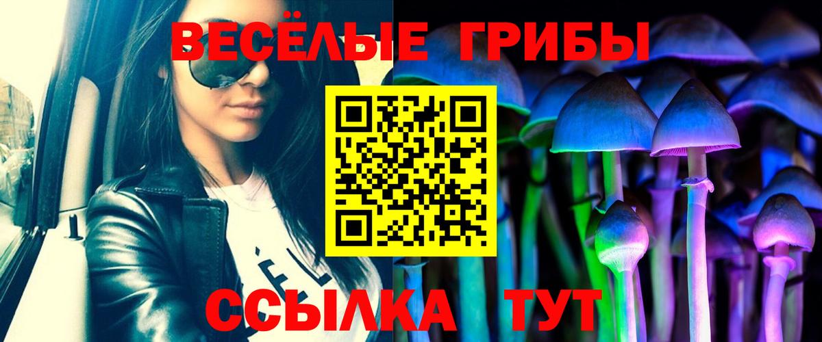 закладки  Вход с VPN  Лесозаводск  Псилоцибиновые грибы прущие грибы 